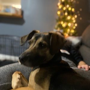 Meet your Posher, Scott